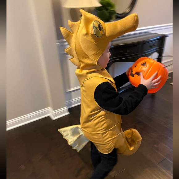 Kids Seahorse Halloween Costume - Picture 9 of 11
